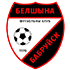Белшина Белшина