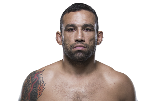 fabricio-werdum