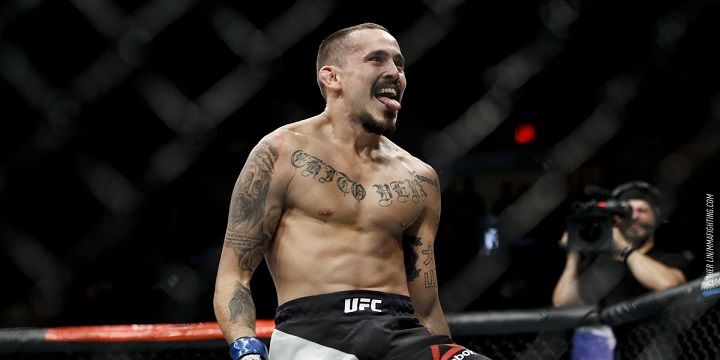 Марлон Вера — Андре Эвелл. Прогноз на UFC (13 октября 2019 года) Марлон Вера — Андре Эвелл. Прогноз на UFC (13 октября 2019 года)